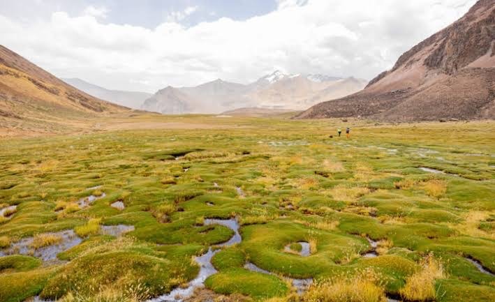 Buscan proteger más de un millón de hectáreas de  humedales para reforzar la seguridad hídrica en Perú