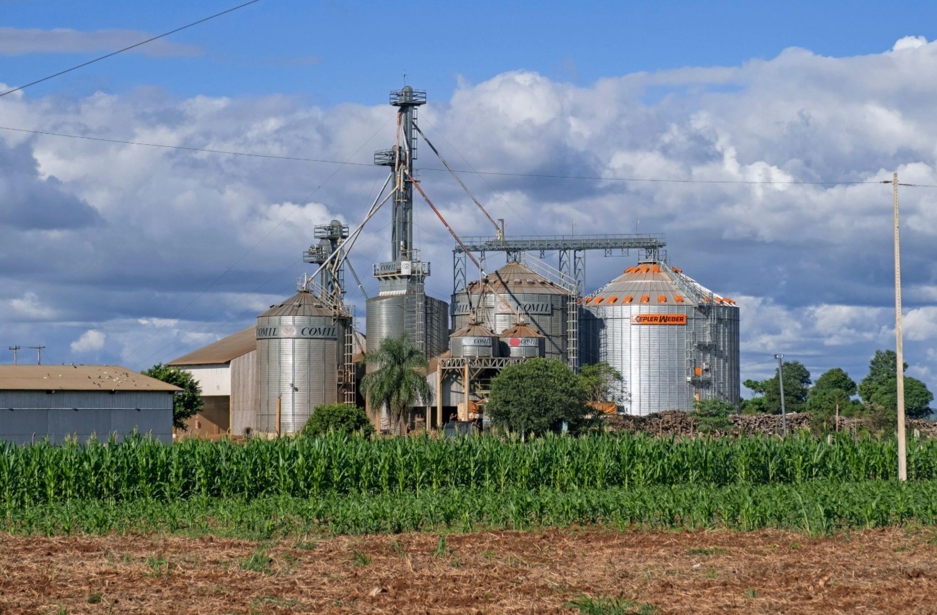 Palmicultores anuncian protestas si gobierno no publica reglamento de la Ley de los biocombustibles