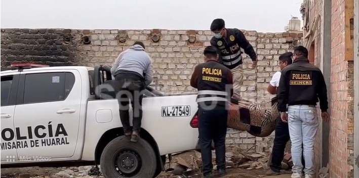 padrasto asesina a su esposa e hijos