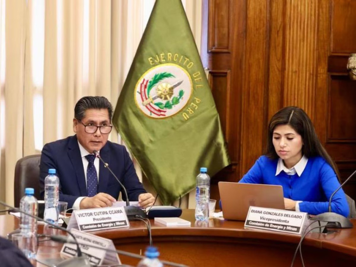 Aprueban extender el Reinfo hasta el 31 de diciembre de 2027