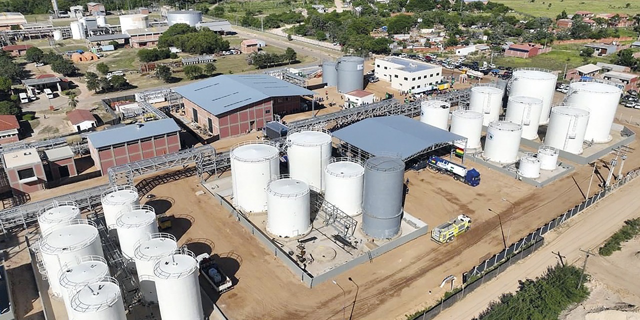 Minem ignora Ley de Biocombustibles, mientras 25 mil familias penden de un hilo