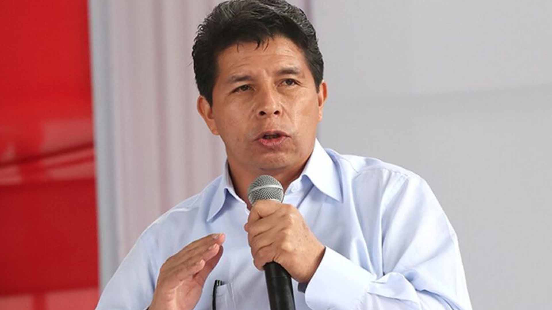 Pedro Castillo presenta denuncia penal contra 100 congresistas y Dina Boluarte por “vacancia ilegal”