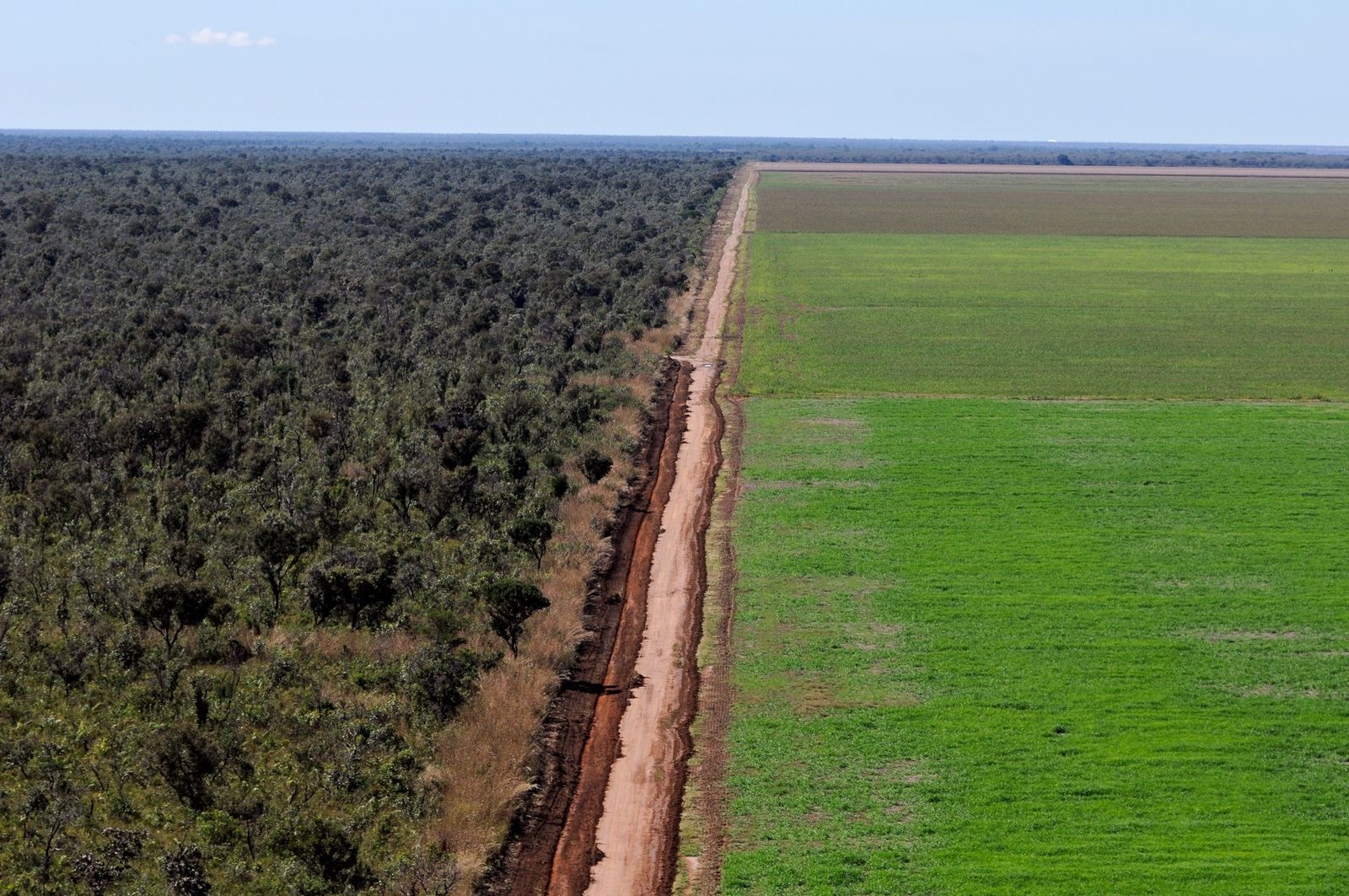 COP30 en la Amazonía: Pueblos indígenas lideran  la defensa de los bosques con soluciones urgentes