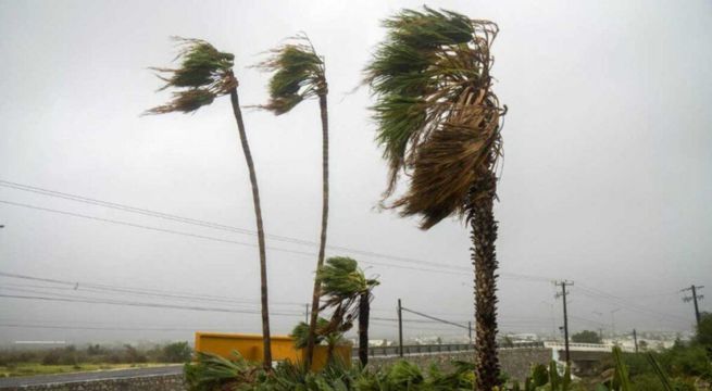 Alerta amarilla por vientos fuertes en la selva central y sur del Perú