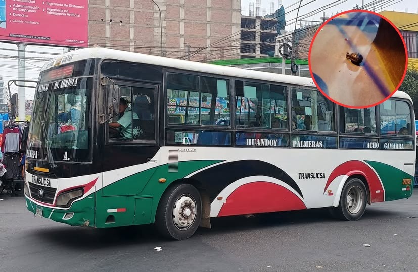 Dejan granada en bus de Translicsa