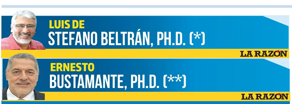 Luis De Stefano Beltrán, PhD (*) y Ernesto Bustamante, PhD (**)