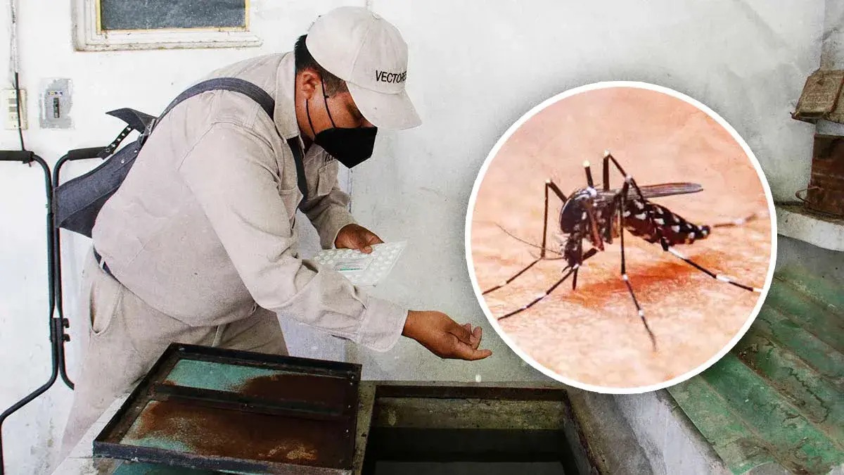 Aumentan los contagios de dengue en Pichanaki