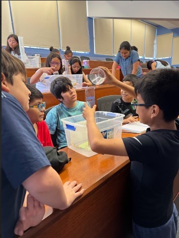 Descubrir tu vocación desde hoy: cómo los proyectos STEAM ayudan a elegir el futuro profesional