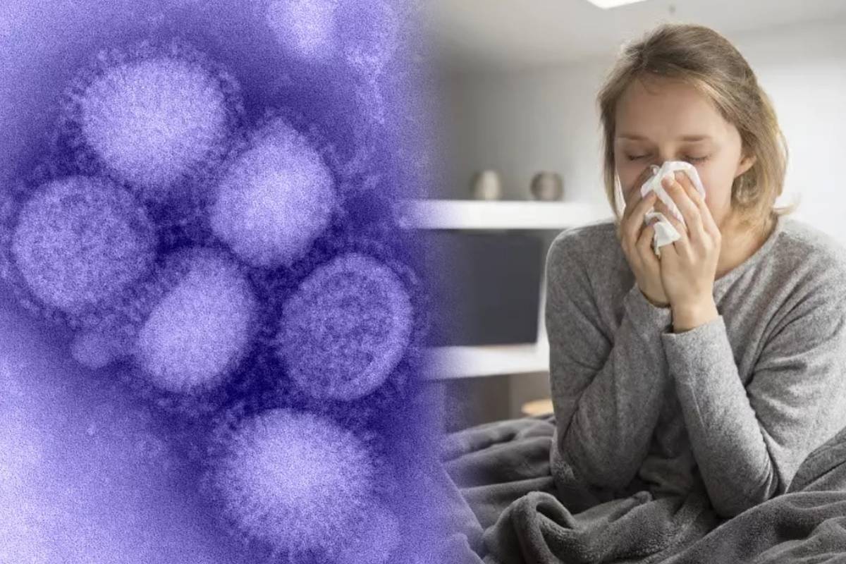 <? htmlspecialchars($article['title_ai']) ?>