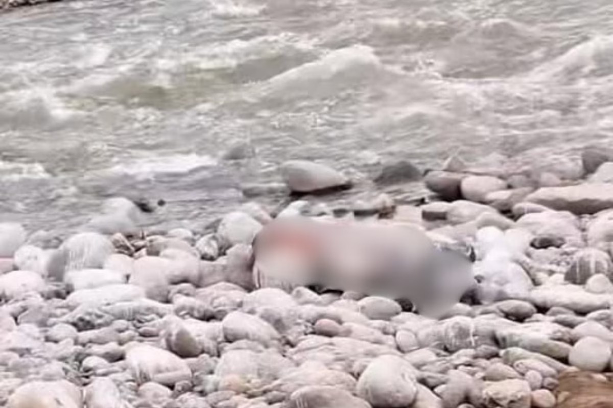 Encuentran cadáver en la ribera del río Rímac