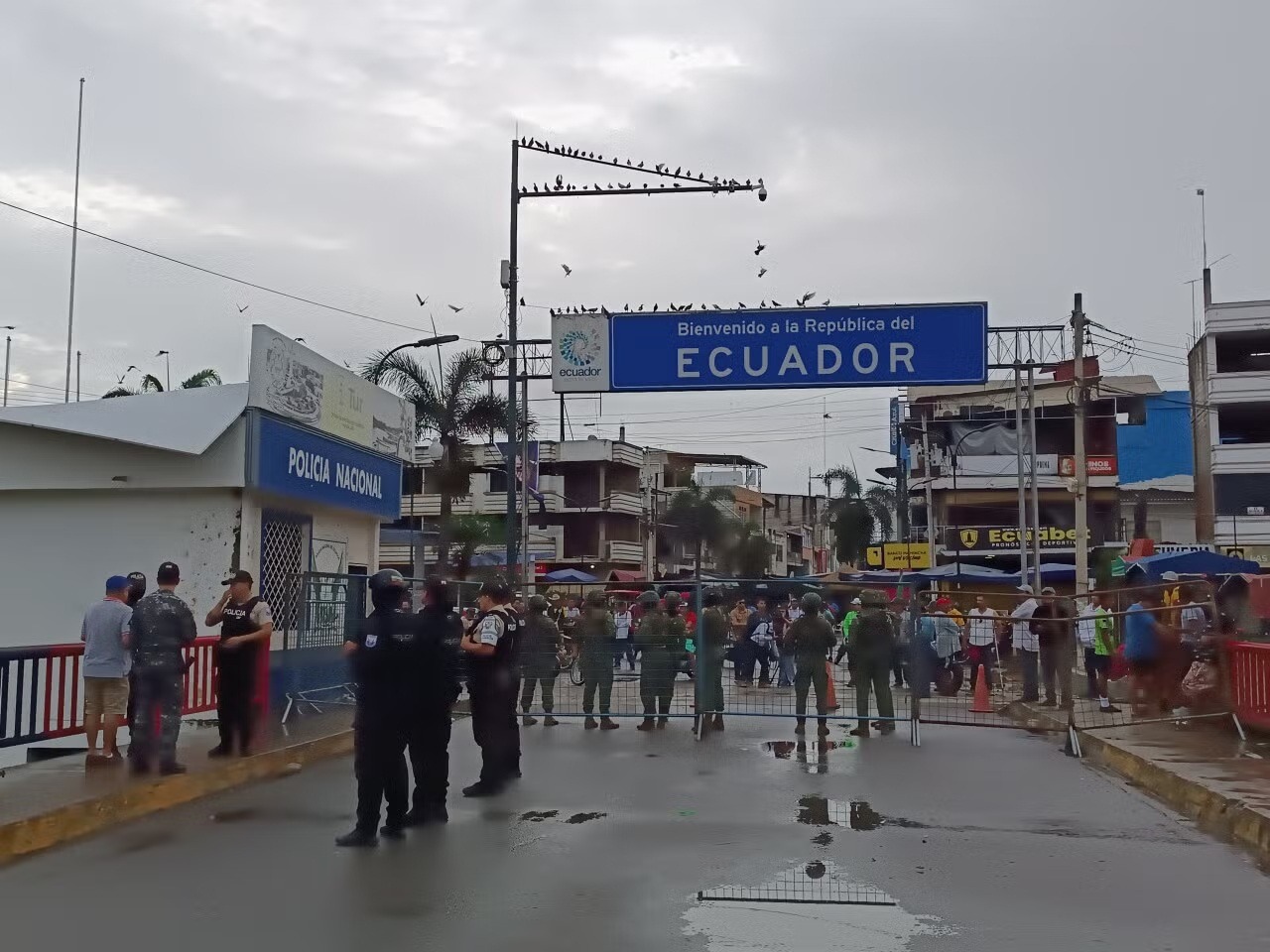 Gobierno envía tropas a la frontera norte