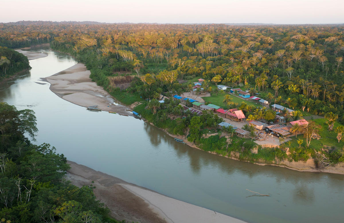 Mueren 4 niños por comer queque con veneno para ratas