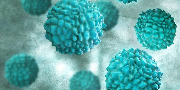 Norovirus: qué es, cómo se contagia y por qué aumentan los casos cada temporada