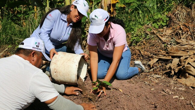 Armys peruanas impulsan campaña de plantación de árboles en Lima