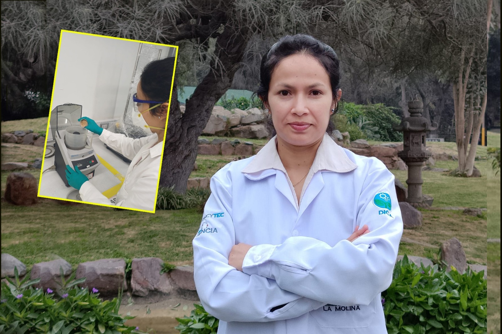 UNALM: investigadora aprovecha la cascarilla de arroz para elaborar biochar con capacidad de tratamiento de aguas residuales mineras