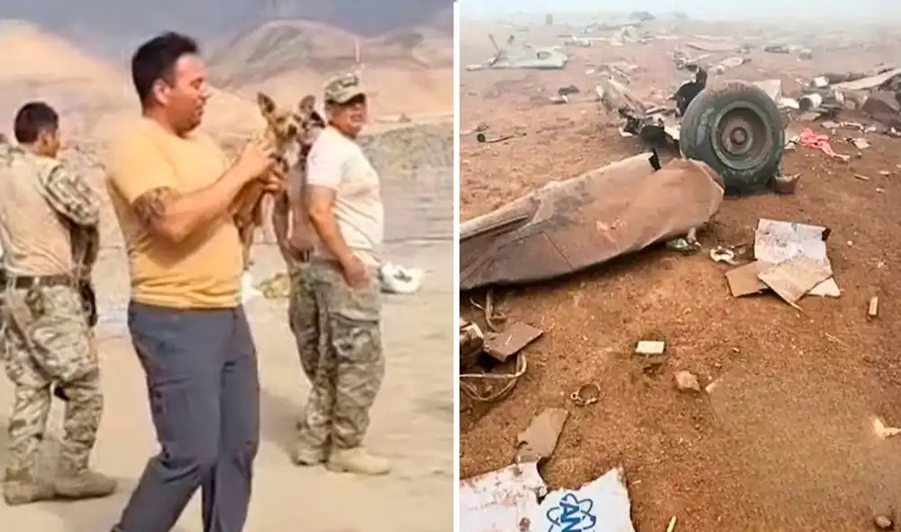 Hallan con vida a perro tras caída de helicóptero en Arequipa