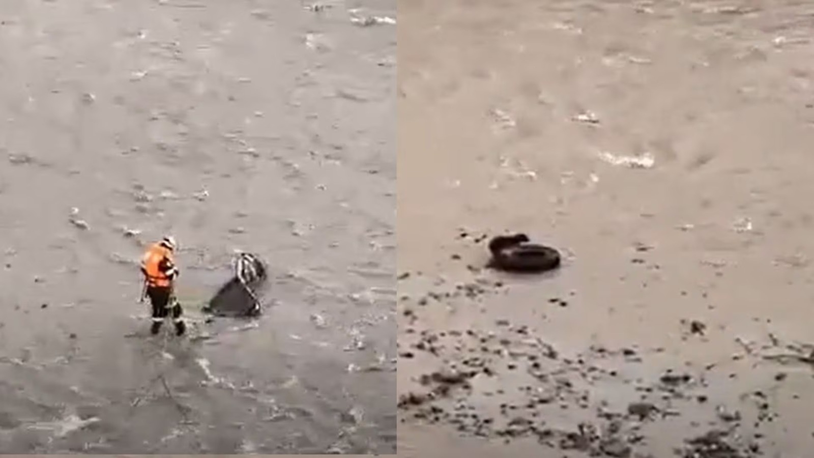 Río Rímac arrastra a policía  que quiso rescatar a perrito