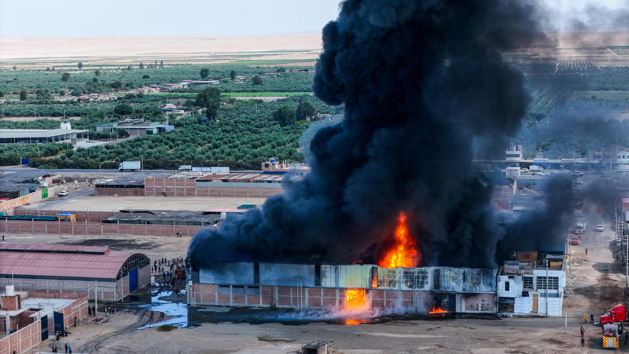 Gigantesco incendio destruye planta de aceite de oliva en La Yarada, Tacna