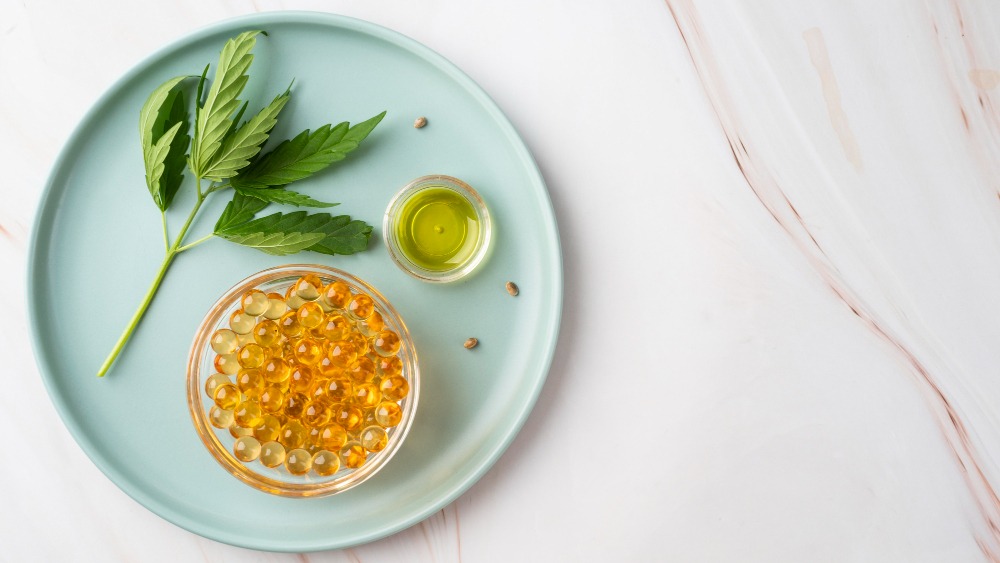 Nutrientes para el sistema digestivo mejor valorados