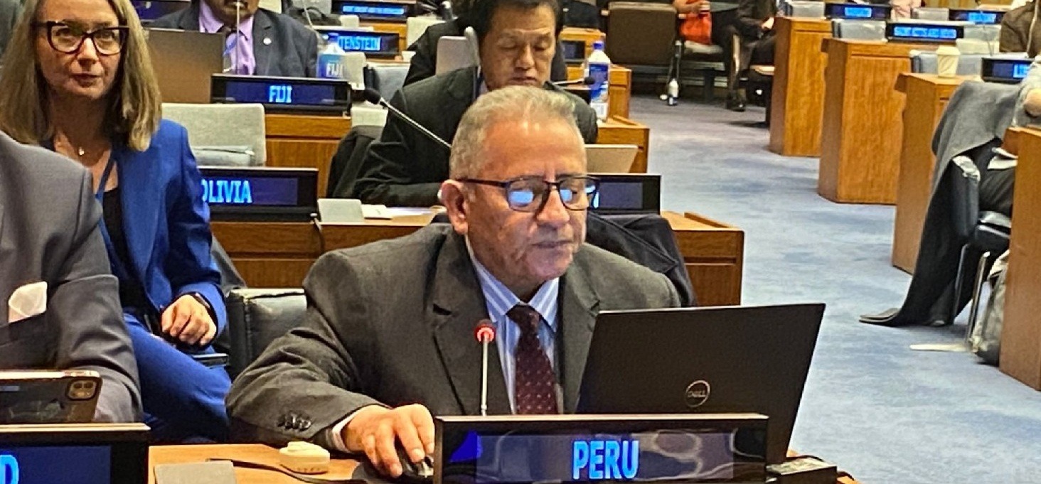 INEI: Perú respalda fortalecimiento de estadísticas sobre envejecimiento, migración forzada y desastres en Comisión de Estadística de la ONU