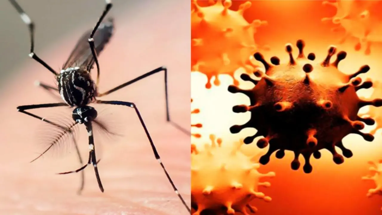 Cuando una infección no termina: el rostro crónico de las enfermedades infecciosas en el Perú