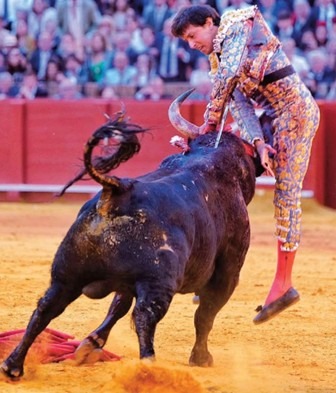SEVILLA: Grave Cornada sufre Roca Rey, las dos orejas se las llevan a enfermería
