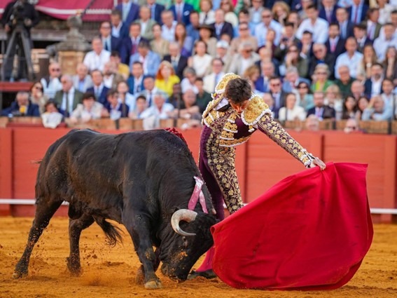 Sevilla: Resurrección de Morante y palco mezquino con Roca Rey