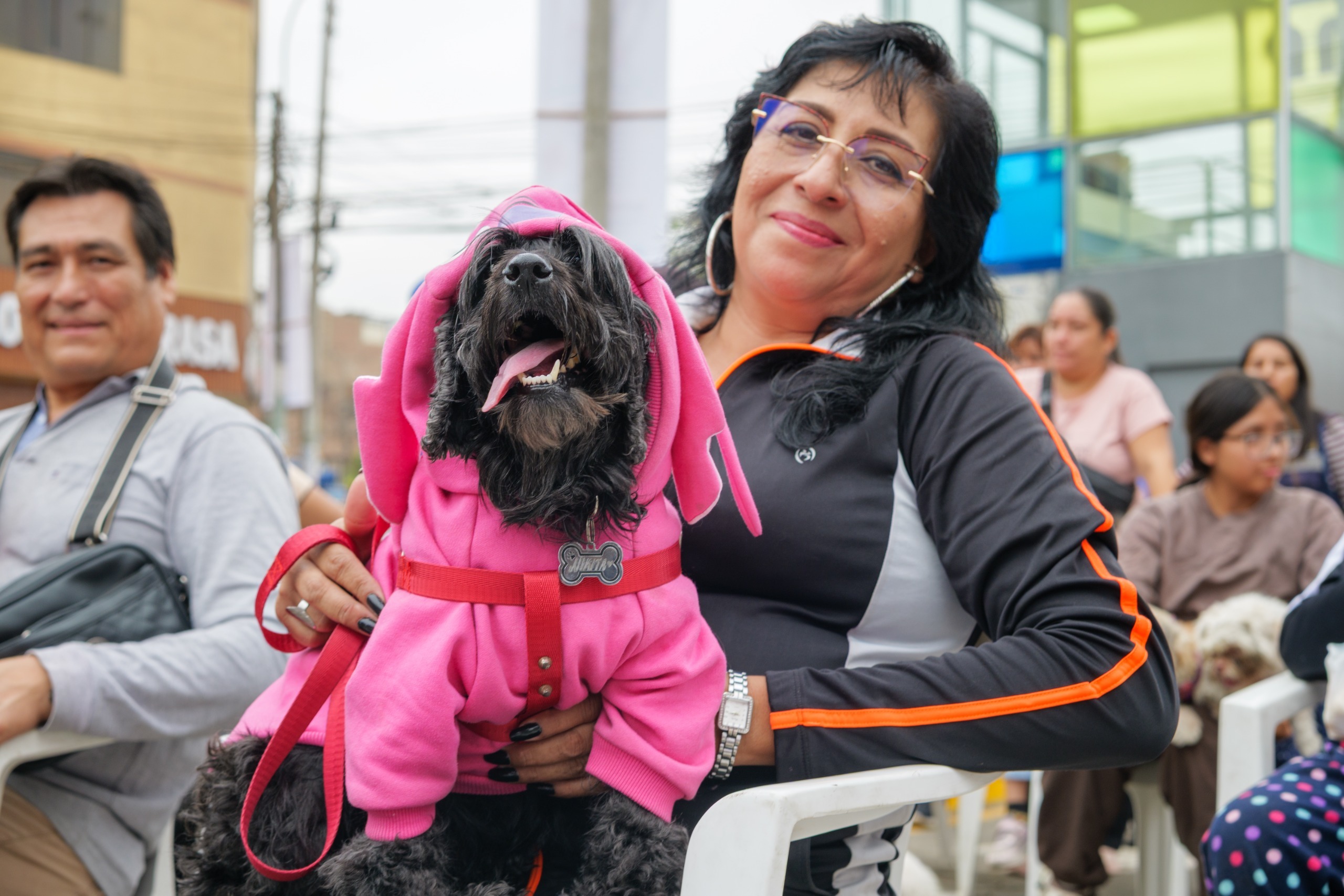 ‘Patitas Fest’: Alrededor de 700 mascotas se beneficiaron con megacampaña veterinaria organizada por la Municipalidad de SMP