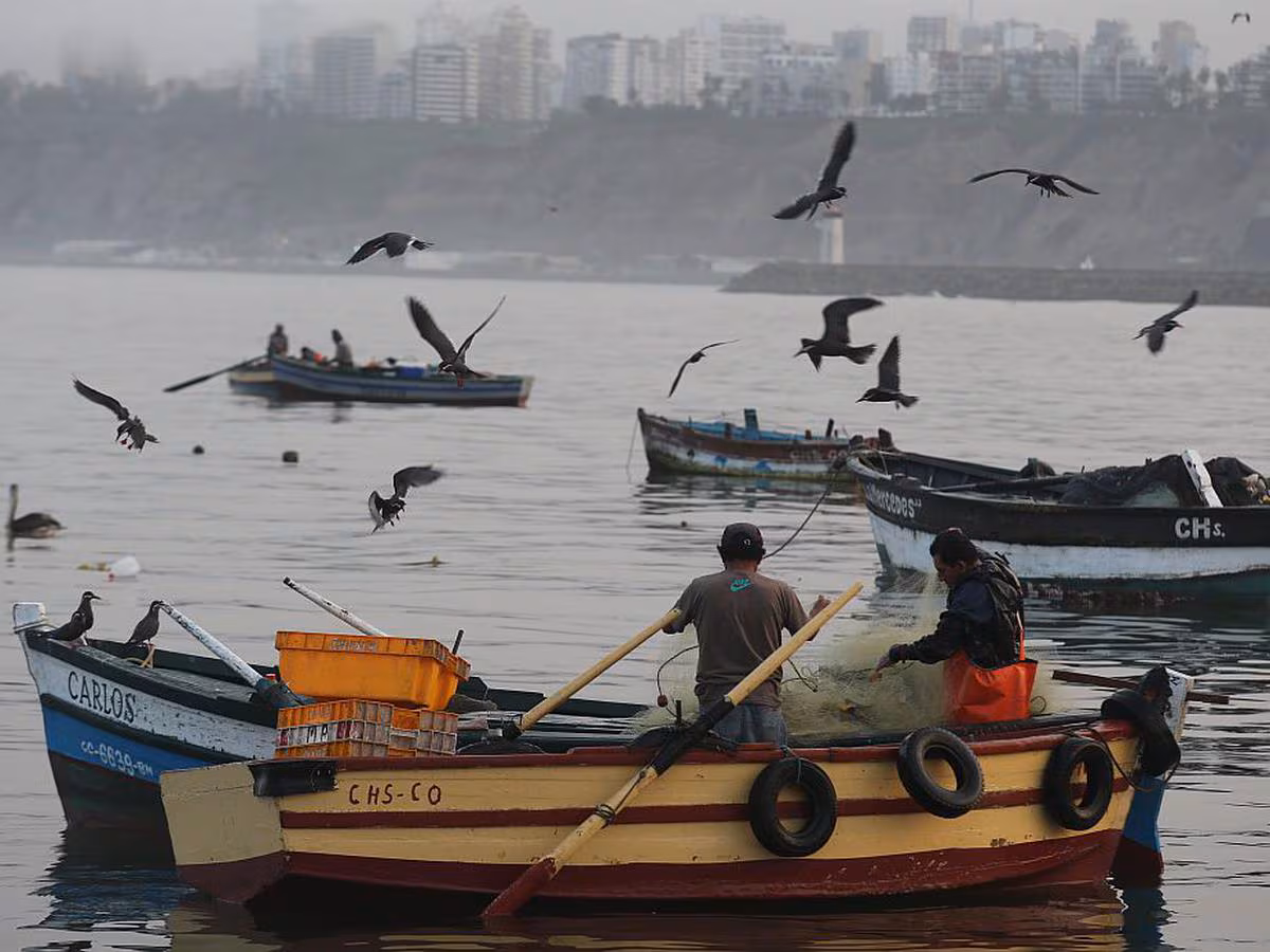 Pescadores vuelven al mar tras final del oleaje anómalo en la costa peruana