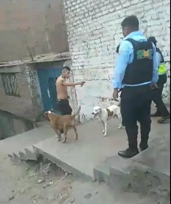 Ojos vigilantes de Municipalidad de SMP permiten la captura de violento sujeto que amenazaba con filudo cuchillo a transeúntes