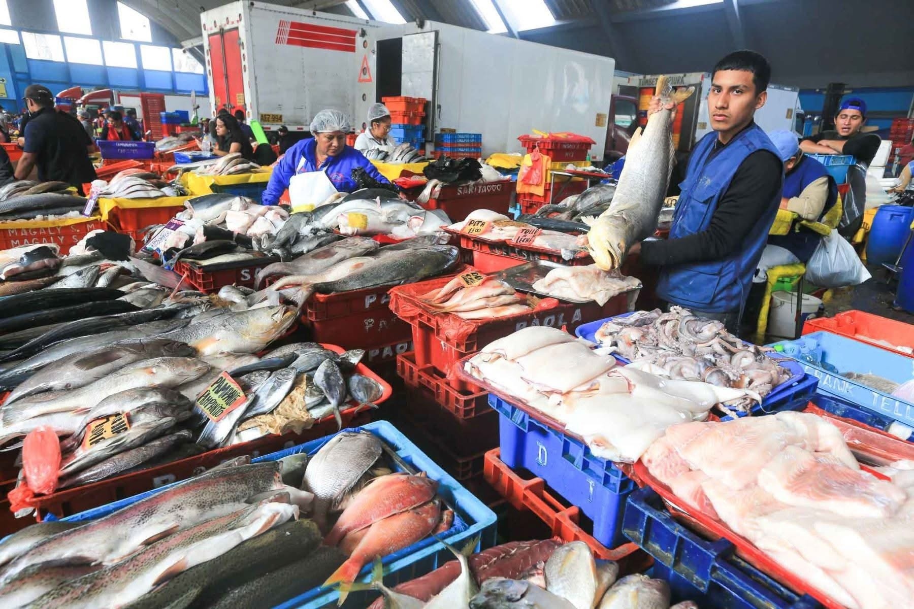 VMT: El Niño reduce la variedad de especies en terminal pesquero