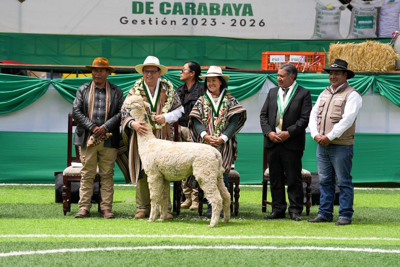 Puno: MIDAGRI anuncia nueva oficina en Macusani para fortalecer la atención a productores de camélidos*