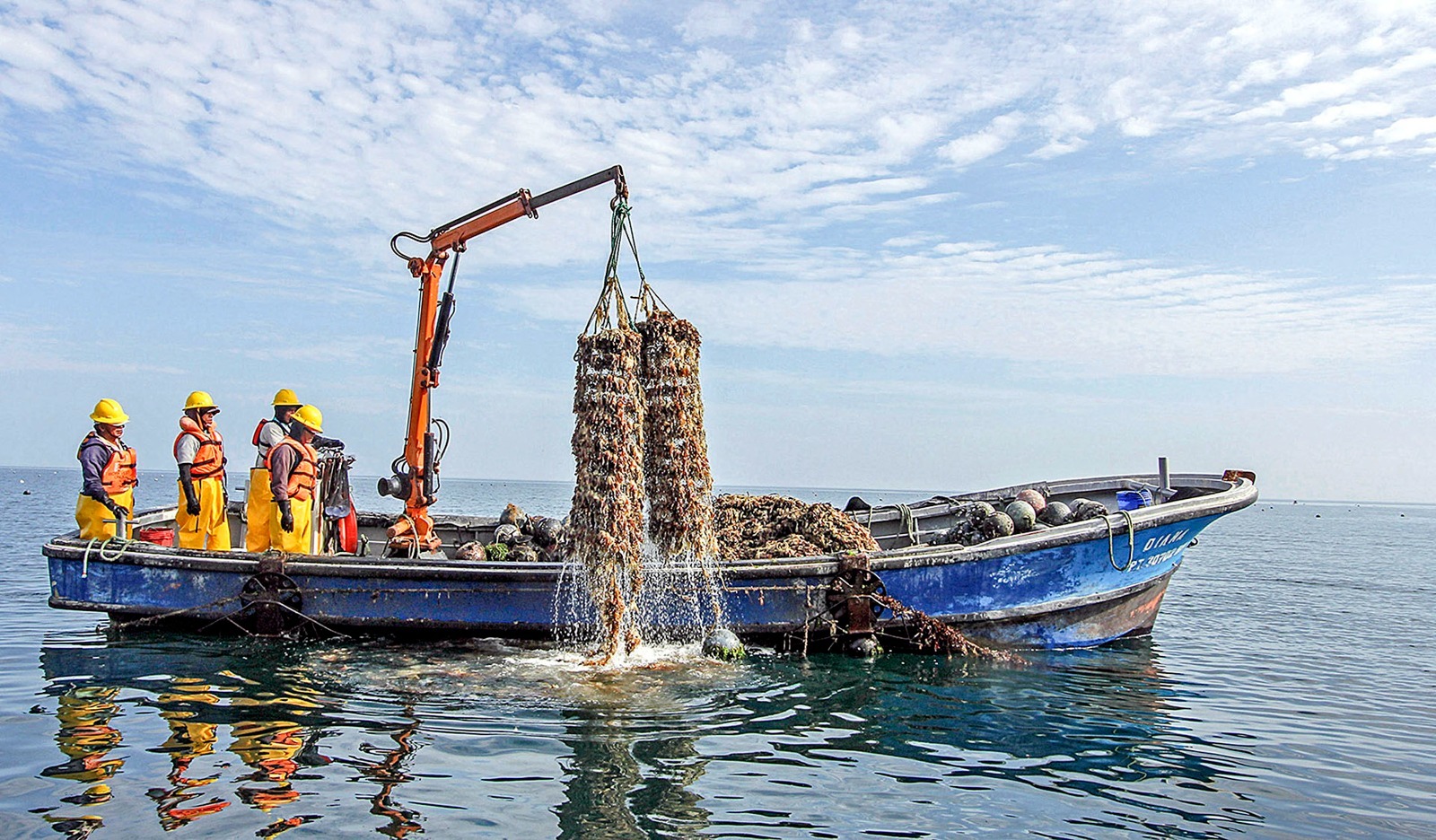 PRODUCE fortalece la pesca y acuicultura formal con más de 1,300 habilitaciones sanitarias en seis meses