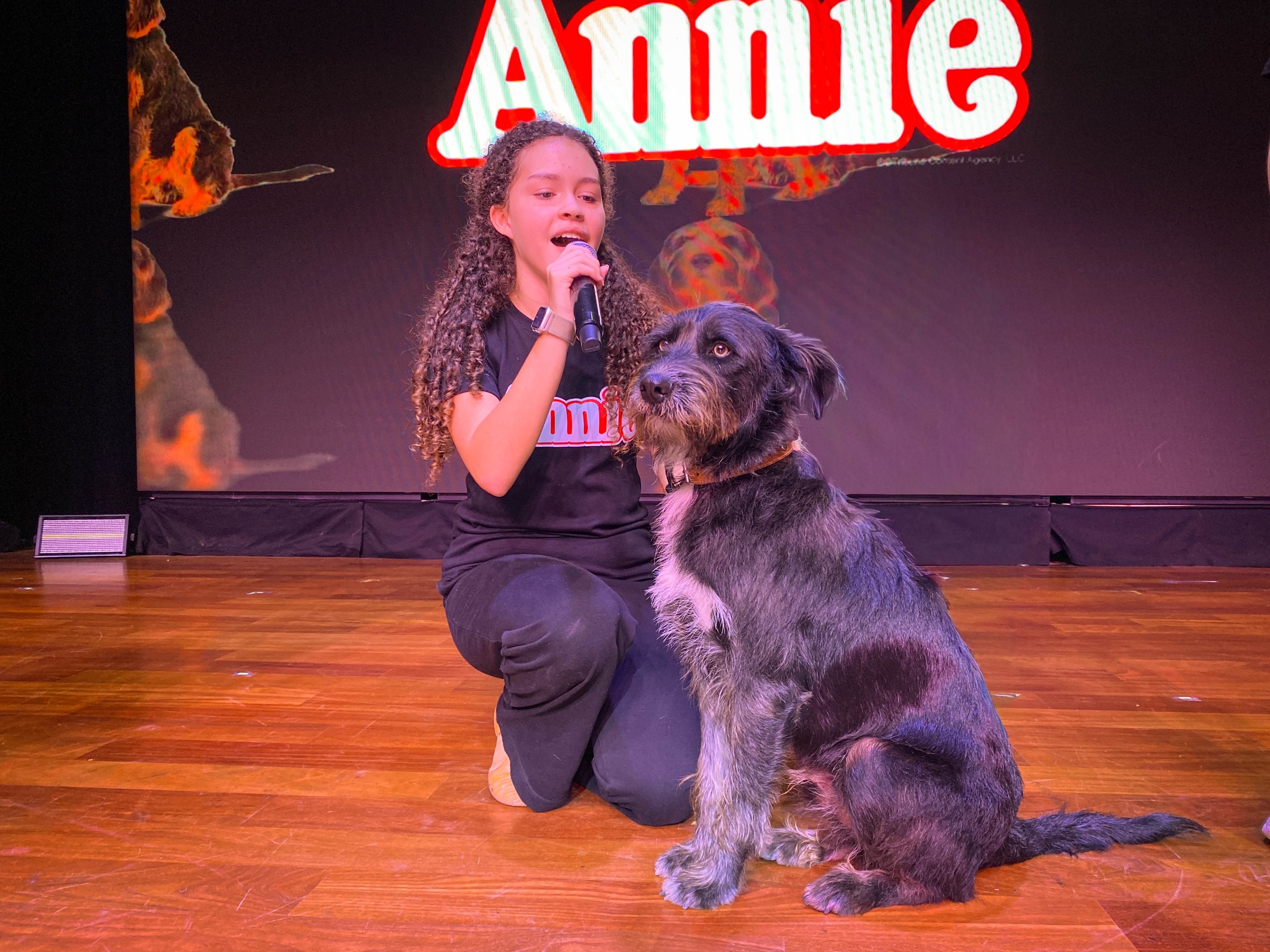 Barrabás, el perrito del Albergue Municipal de Surco, se prepara para debutar en el musical “Annie”
