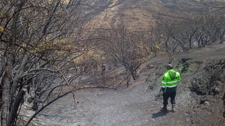 Adulto mayor muere tras intentar apagar incendio forestal en Cusco