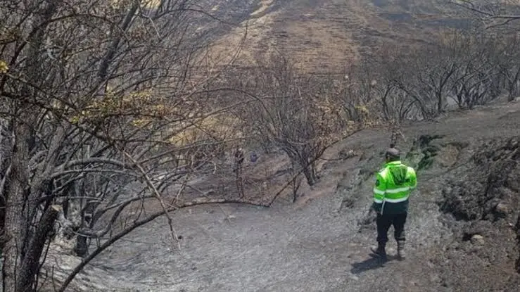 Adulto mayor muere tras intentar apagar incendio forestal en Cusco