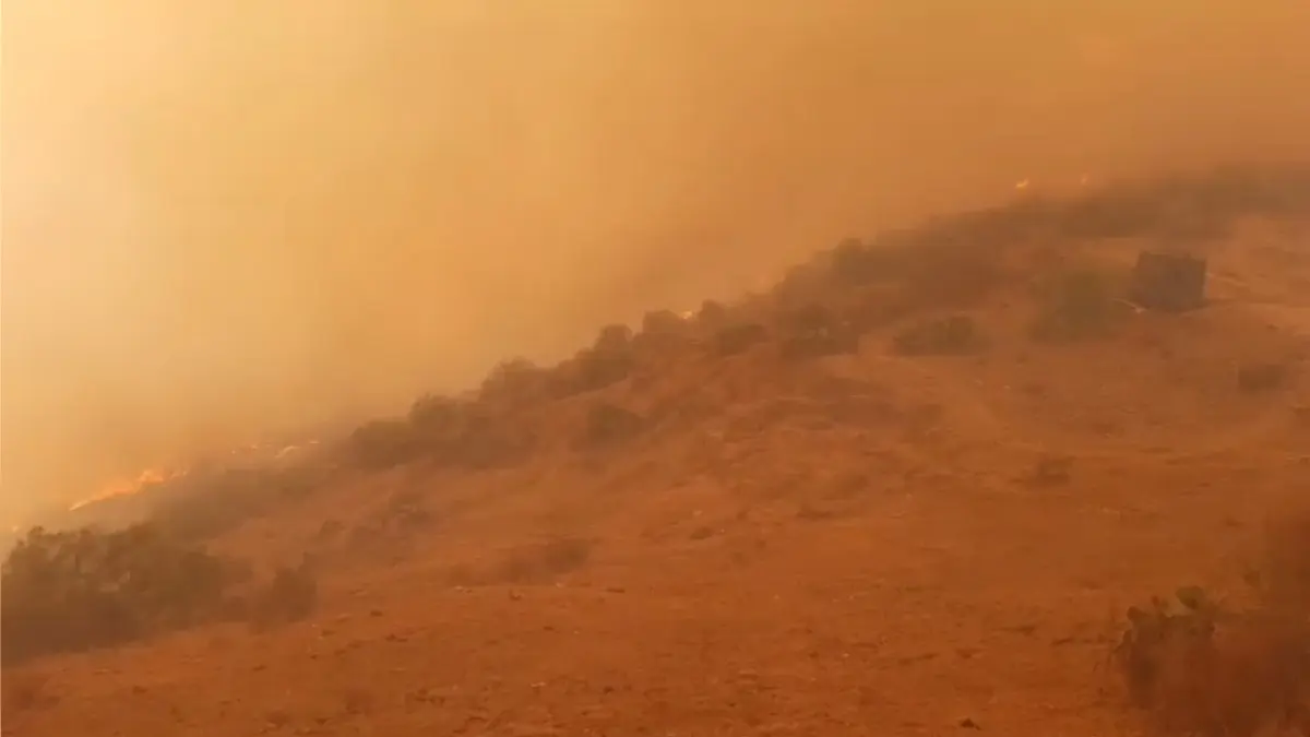 Apurímac: Incendio forestal consume parte de una comunidad en Curahuasi