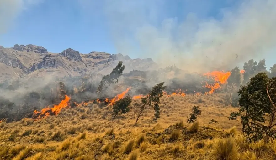 Cinco incendios forestales siguen activos en Ayacucho