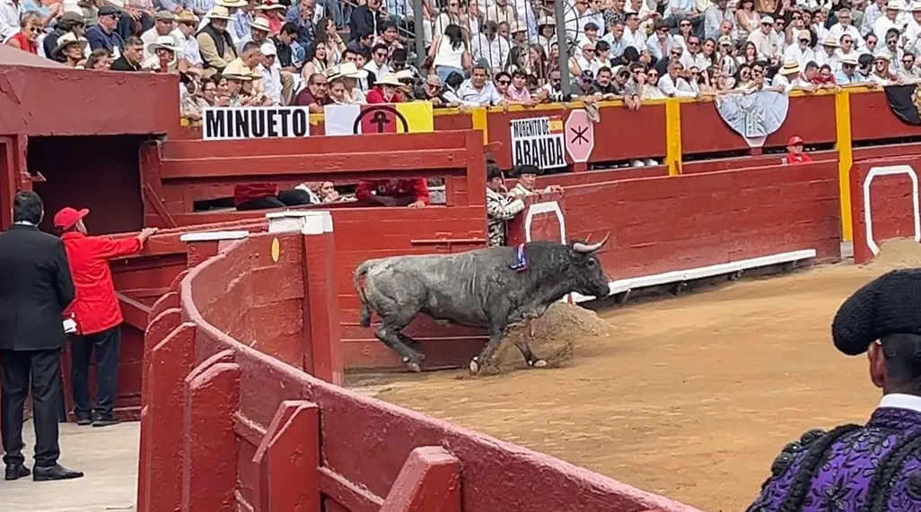 Acho 2026: Victorino hizo historia y Galdós rozó el triunfo