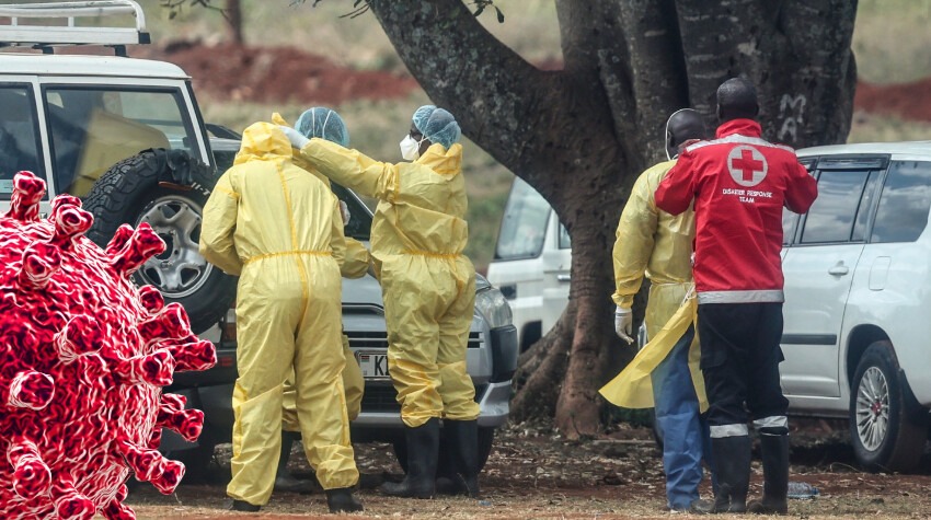 Francia detecta el primer caso humano del virus Shamonda: paciente falleció en octubre