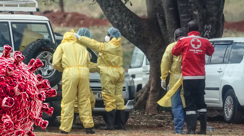 Francia detecta el primer caso humano del virus Shamonda: paciente falleció en octubre