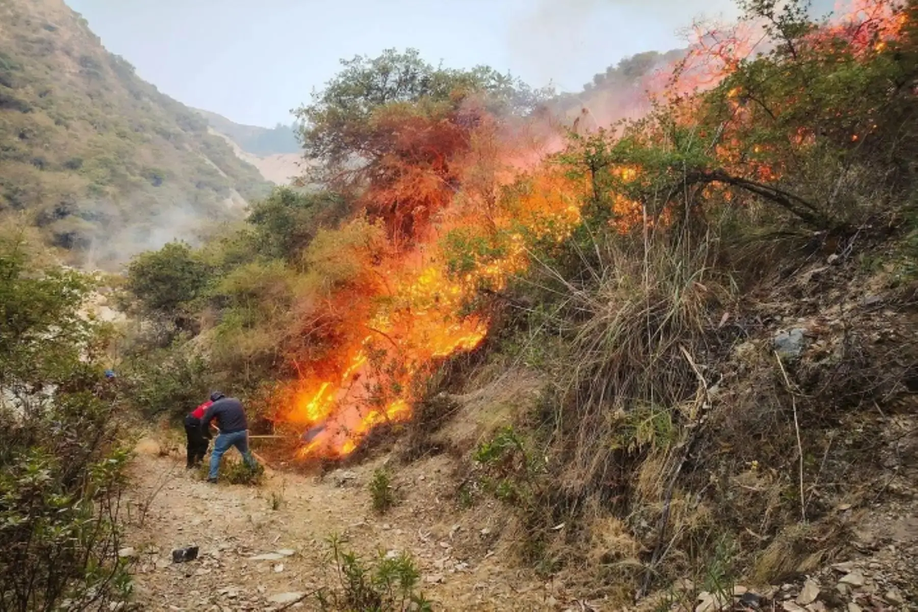 Cusco enfrenta seis incendios forestales activos