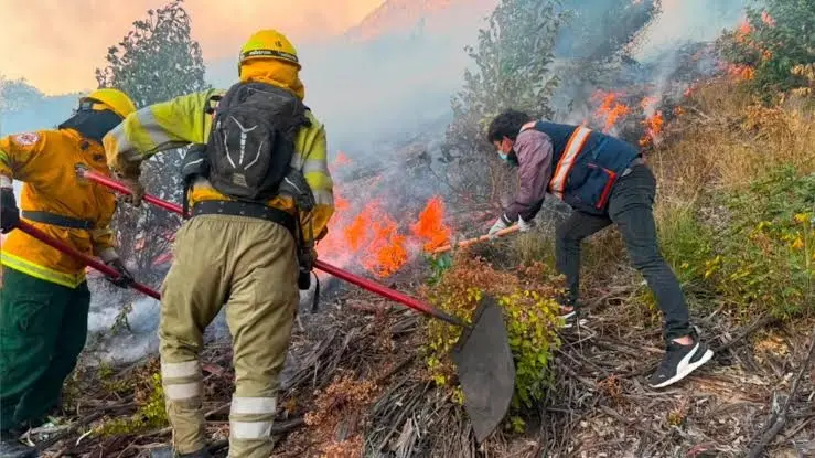 Incendio forestal en Cusco: detienen a sospechoso de iniciar el fuego
