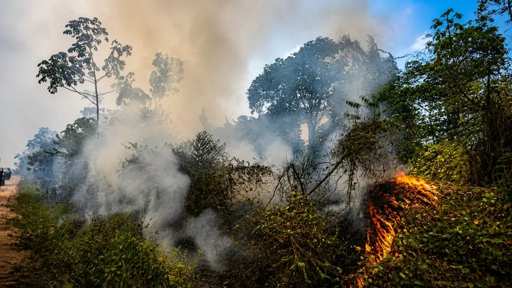 Incendio forestal en Yauya afecta 100 hectáreas de vegetación