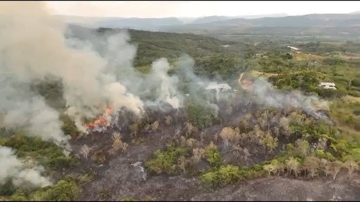 Incendio forestal en Aucaloma moviliza a bomberos y pobladores ante riesgo de expansión cerca de Tarapoto
