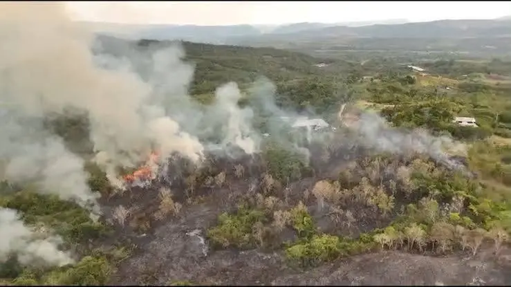 Incendio forestal en Aucaloma moviliza a bomberos y pobladores ante riesgo de expansión cerca de Tarapoto
