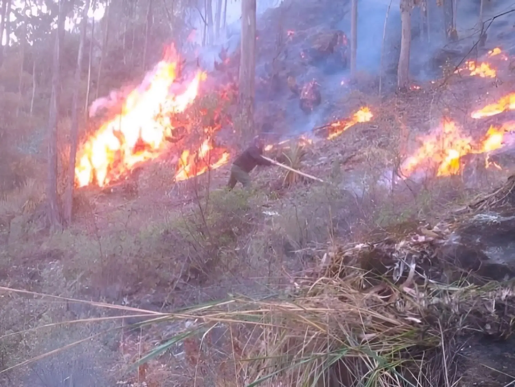 Perú: incendios forestales dejan seis fallecidos y afectan cinco regiones