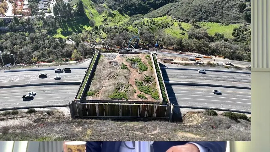 California construye un gigantesco puente ecológico para proteger a los animales silvestres